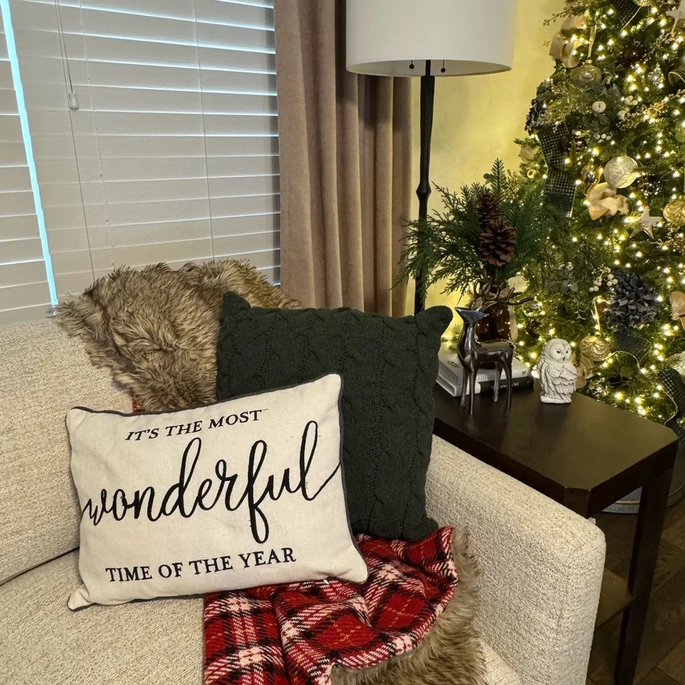 Pottery Barn Reversible Holiday Plaid Throw with Faux Fur Back